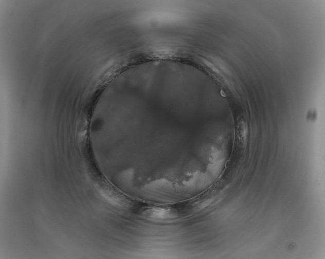 X0000091950507200709201325