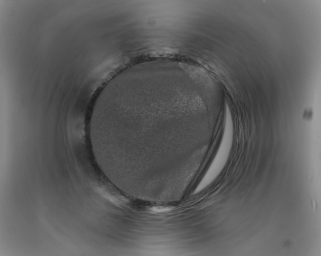 X0000091950508200709201325