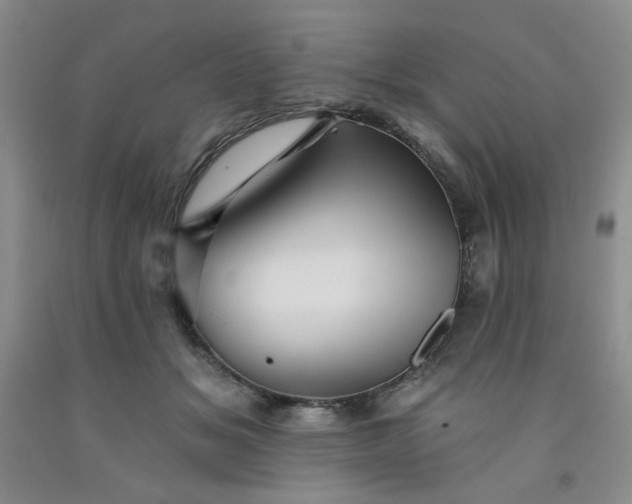 X0000091950509200709201325