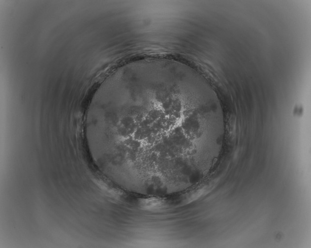 X0000091950511200709201325