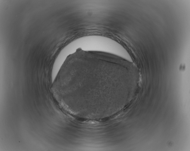 X0000091950512200709201325