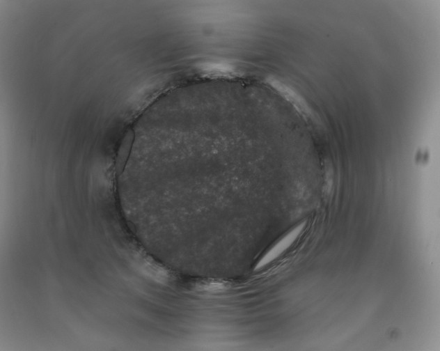 X0000091950513200709201325