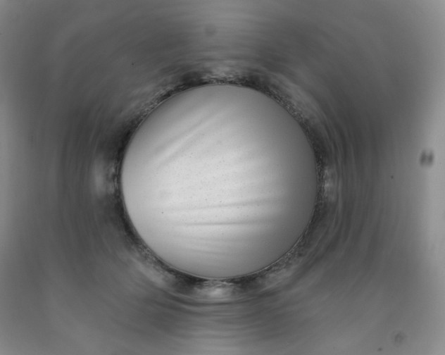 X0000091950514200709201325