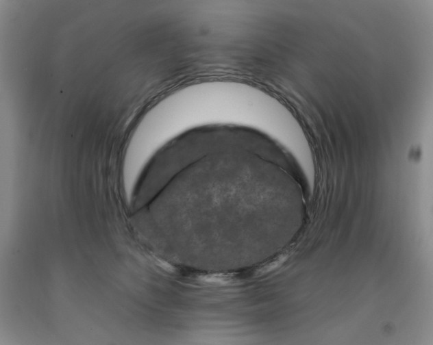 X0000091950516200709201325