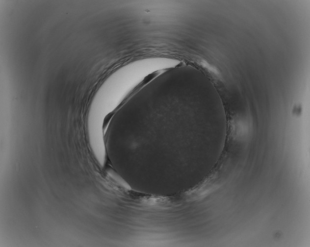 X0000091950517200709201325