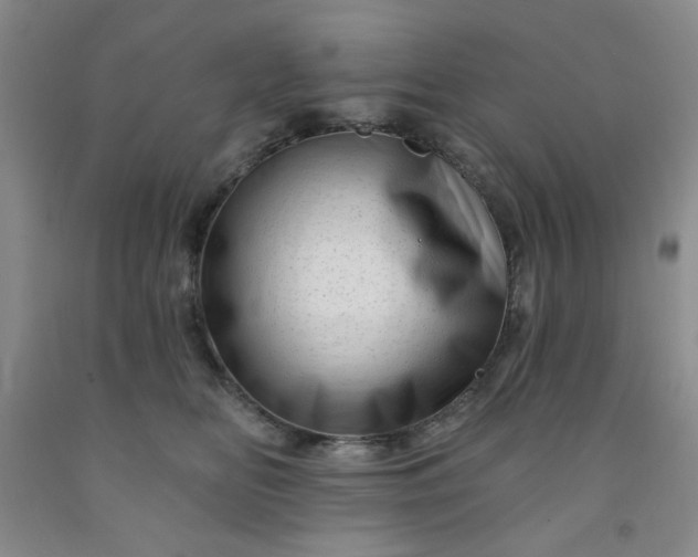 X0000091950518200709201325