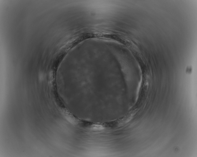 X0000091950519200709201325