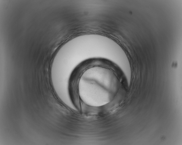 X0000091950520200709201325