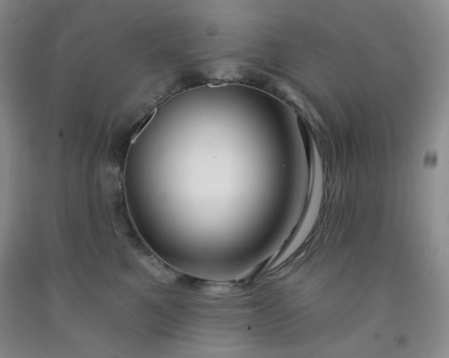 X0000091950521200709201325