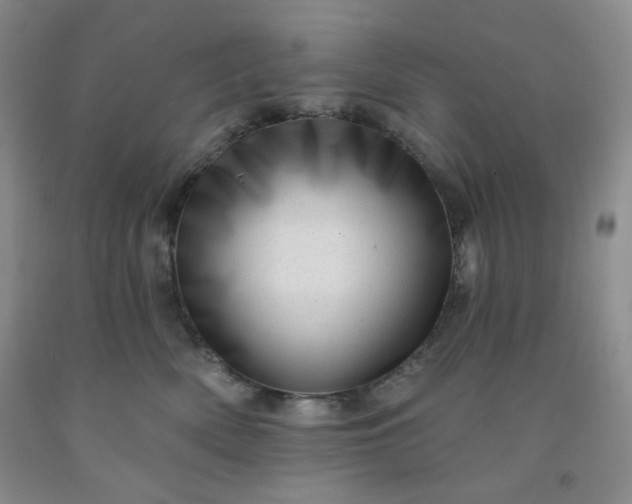 X0000091950522200709201325