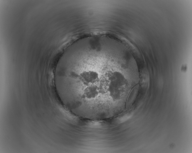 X0000091950523200709201325