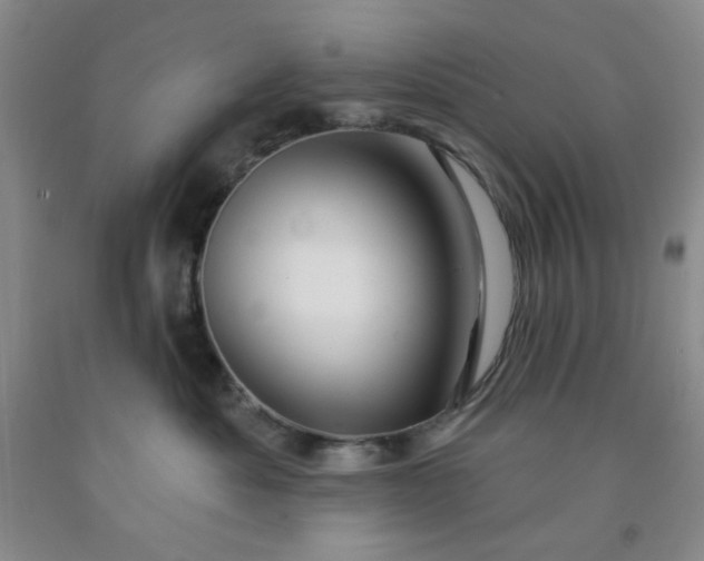 X0000091950525200709201325