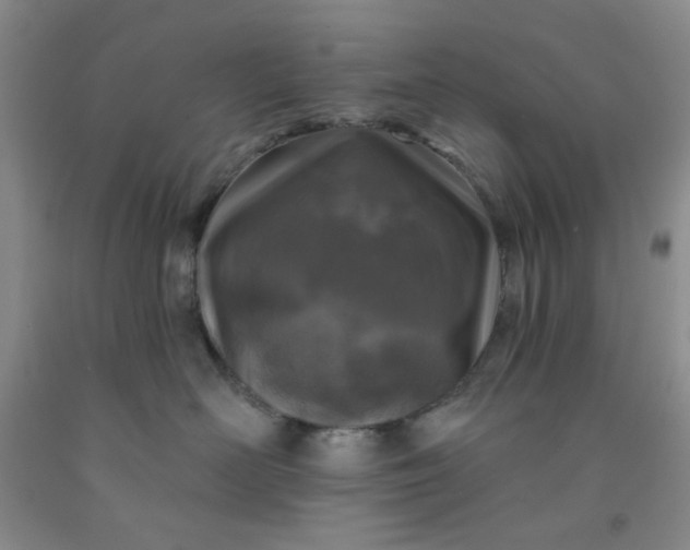 X0000091950526200709201325