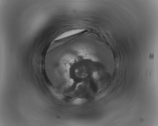 X0000091950527200709201325