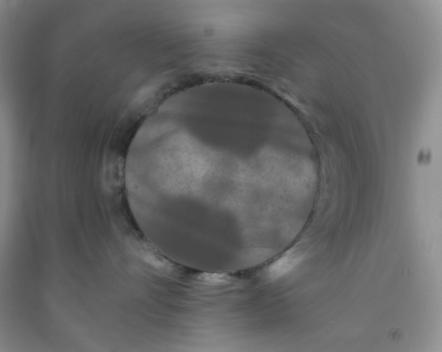 X0000091950528200709201325