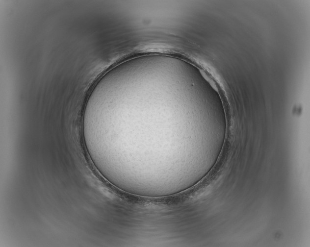 X0000091950529200709201324