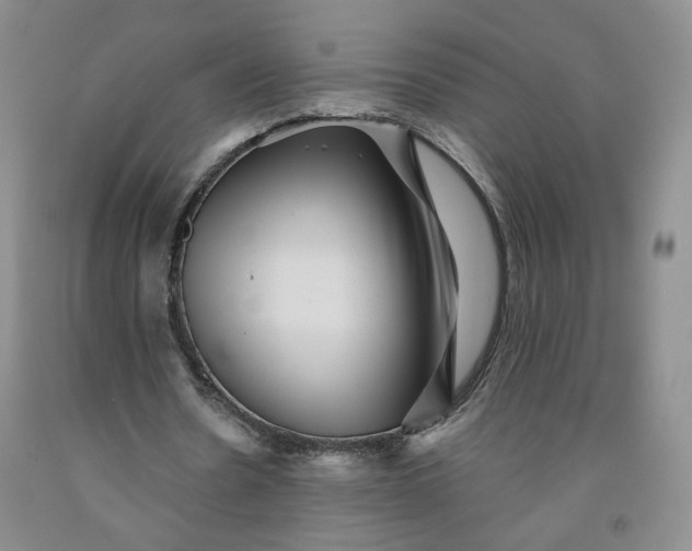 X0000091950530200709201324