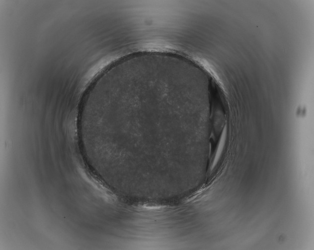 X0000091950531200709201324