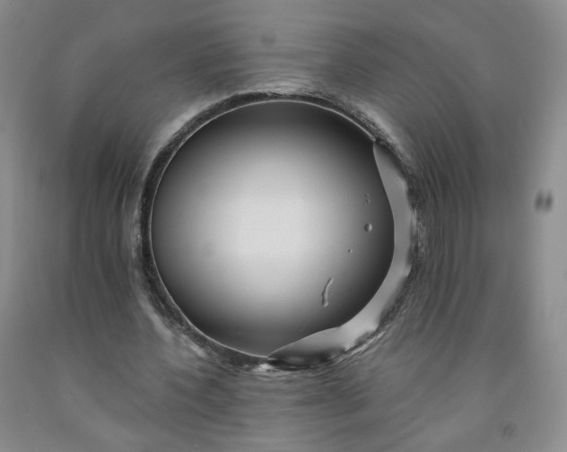 X0000091950532200709201324