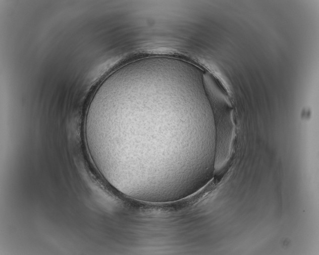 X0000091950533200709201324