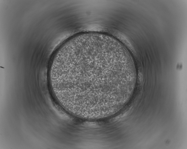 X0000091950534200709201324