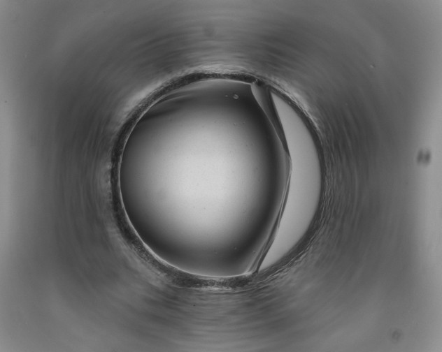 X0000091950535200709201324