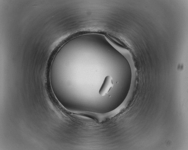 X0000091950536200709201324