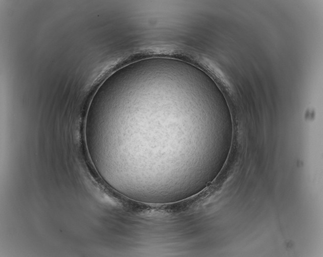 X0000091950537200709201324