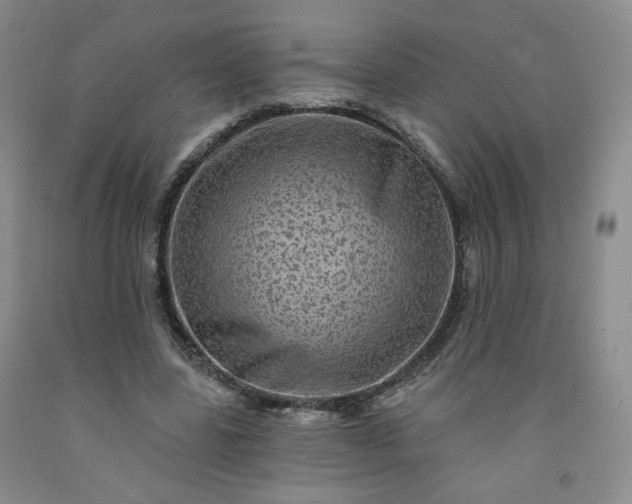 X0000091950539200709201324