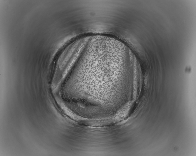 X0000091950540200709201324