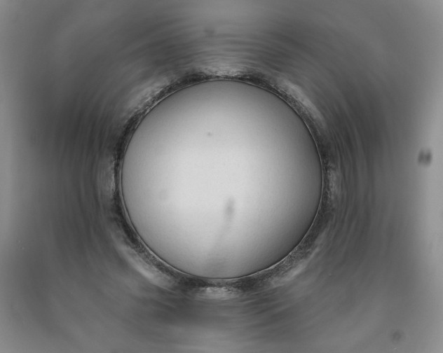 X0000091950541200709201324