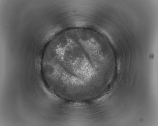 X0000091950542200709201324