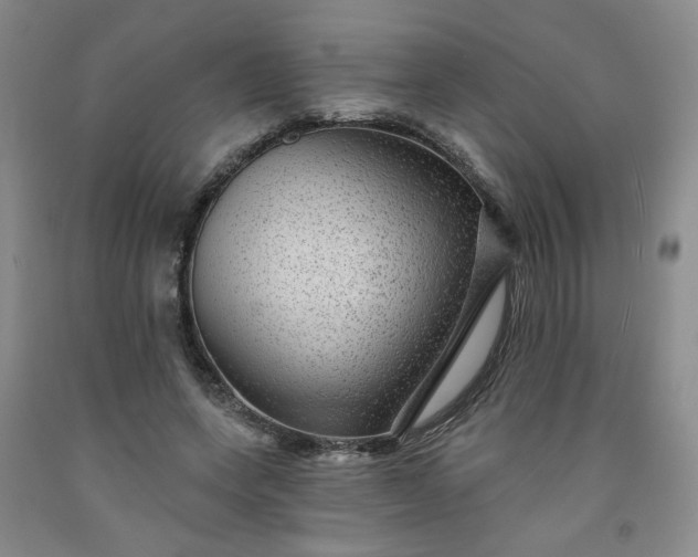 X0000091950543200709201324