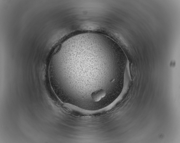 X0000091950544200709201324