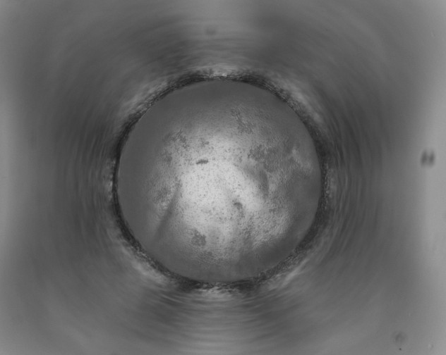 X0000091950545200709201324