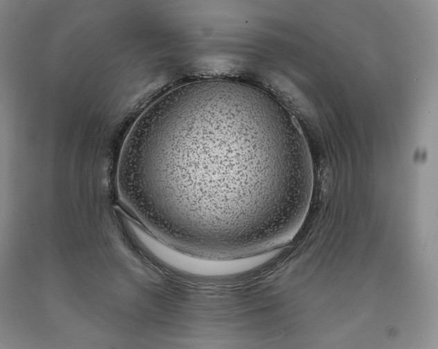 X0000091950546200709201324