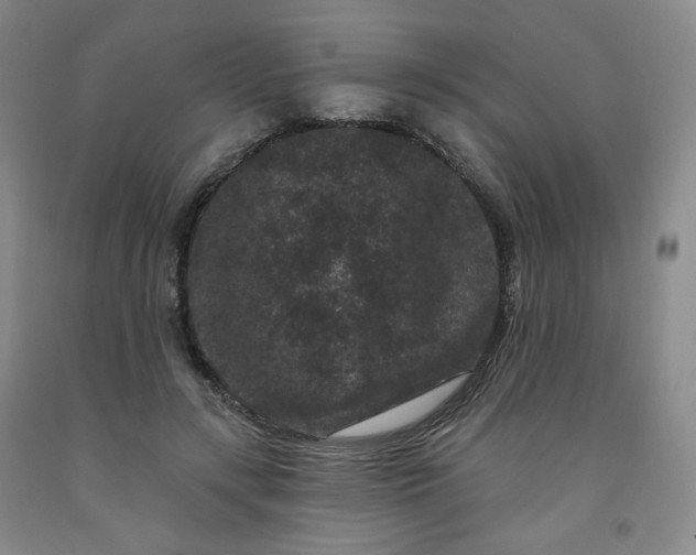 X0000091950547200709201324