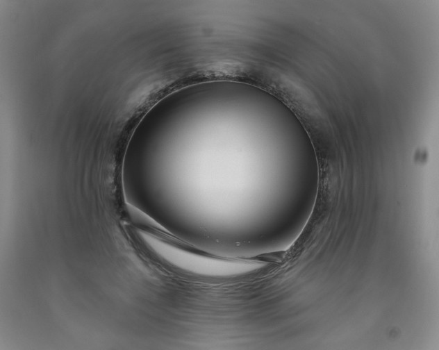 X0000091950548200709201324