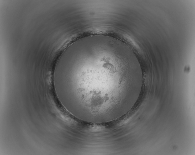 X0000091950549200709201324