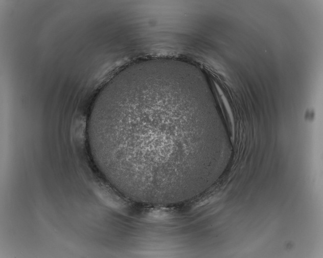 X0000091950550200709201325