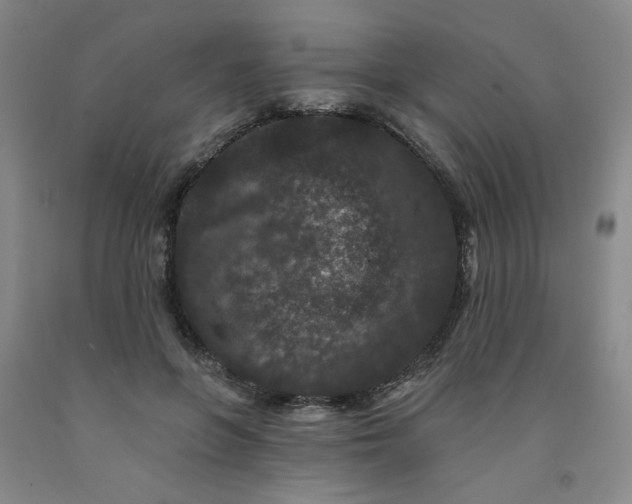 X0000091950551200709201325