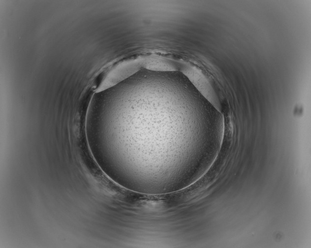 X0000091950552200709201325