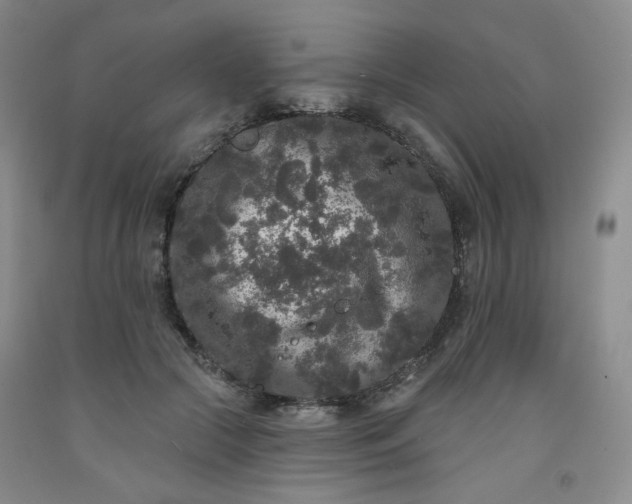 X0000091950553200709201325