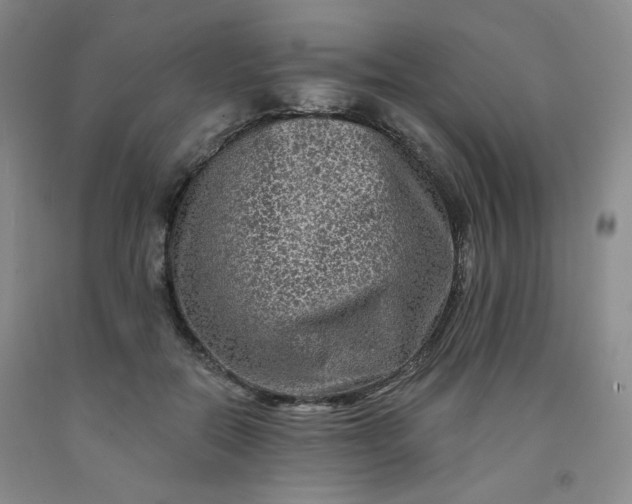 X0000091950554200709201325