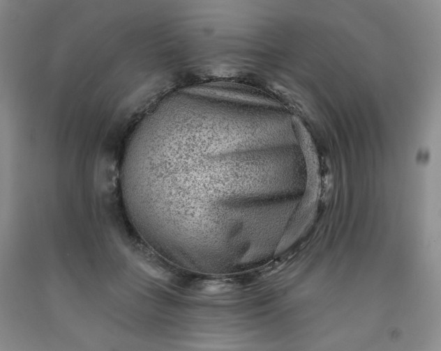 X0000091950555200709201325