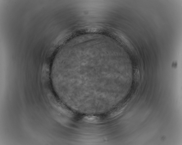 X0000091950557200709201325