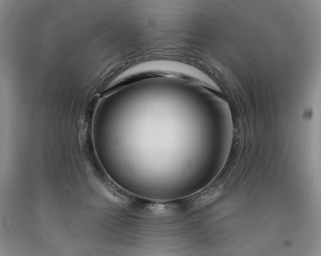 X0000091950558200709201325