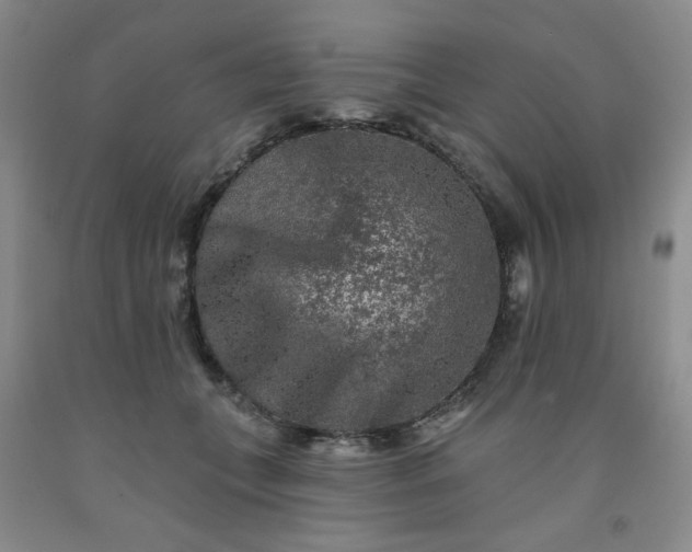 X0000091950559200709201325