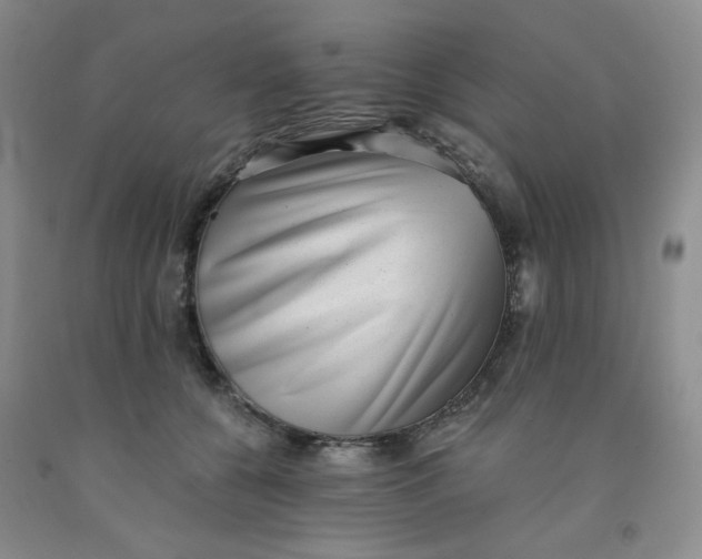 X0000091950560200709201325