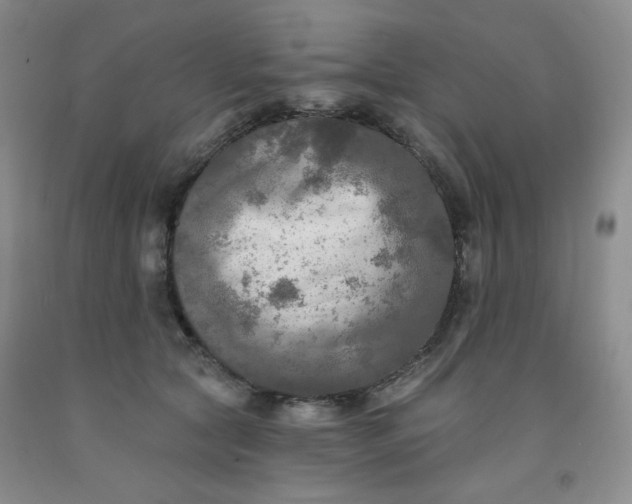 X0000091950561200709201325